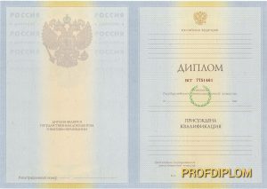 Диплом специалиста 2009-2011
