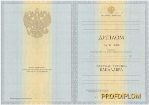Диплом бакалавра 2011-2013